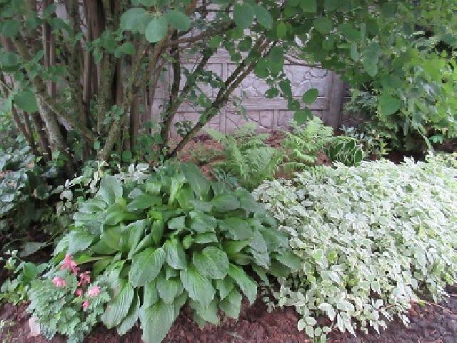 IMG 0201