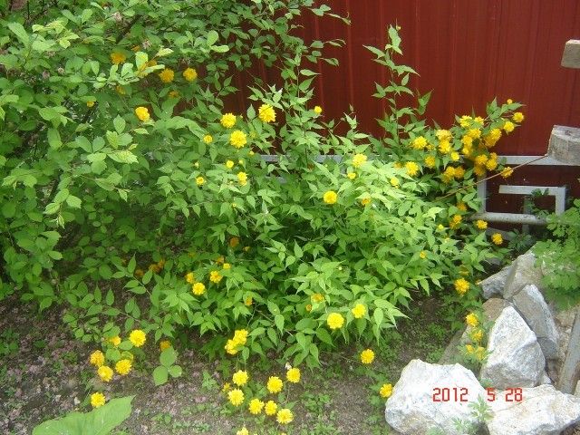 DSC04391