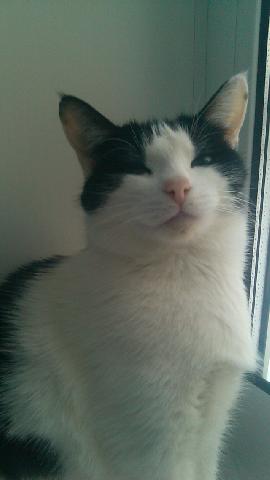 IMG 13 11 2016 172832