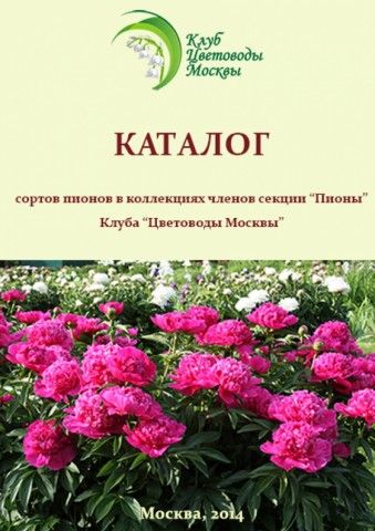 Каталог сортов пионов в коллекциях членов секции  quot Пионы quot  Клуба  quot Цветоводы Москвы quot