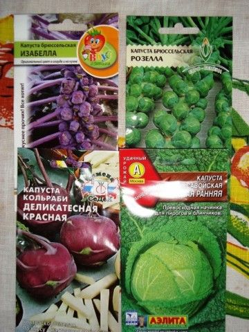 DSC04011