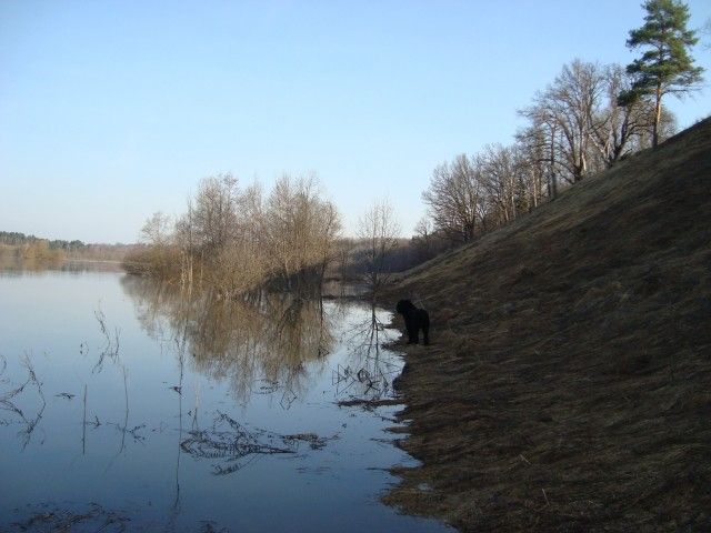 DSC06362
