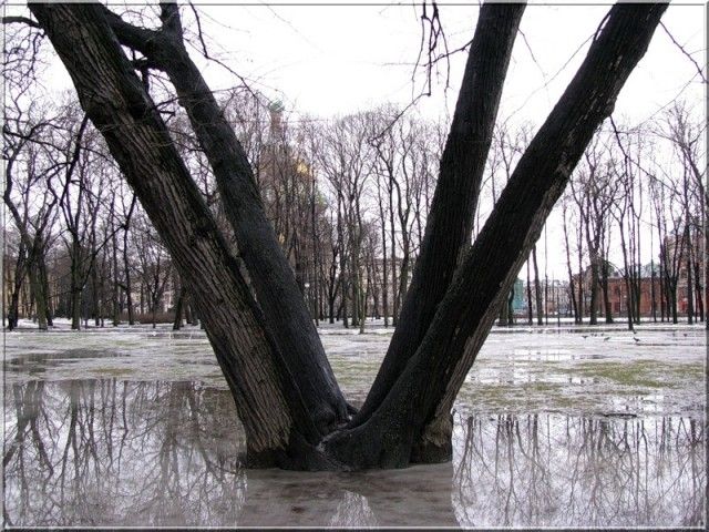букет