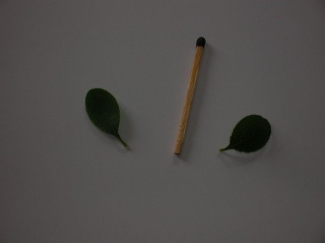 Изображение 301