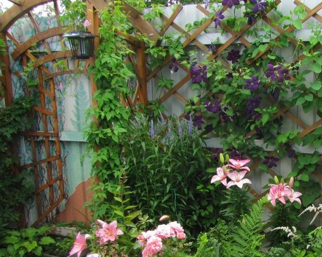 компашка у арки 2