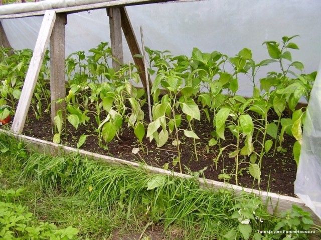 P2250155 люде москва