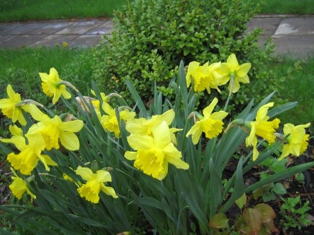 2012 041  2