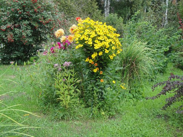 DSC02041