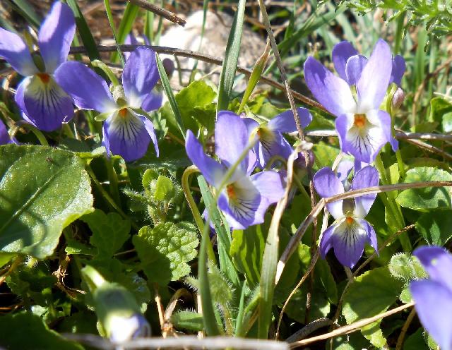image  10