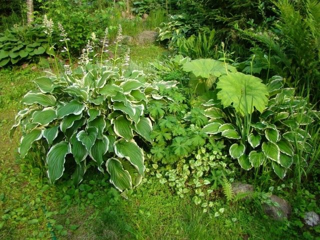 2013 06 21 001 065