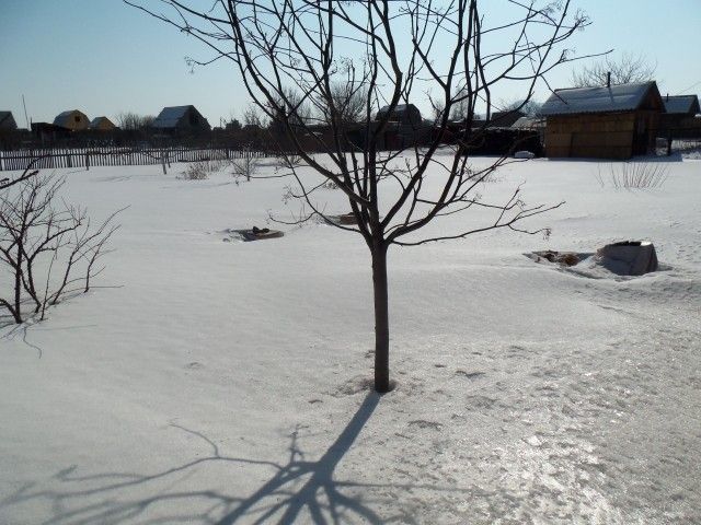 Изображение 006