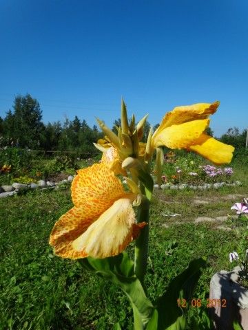 057