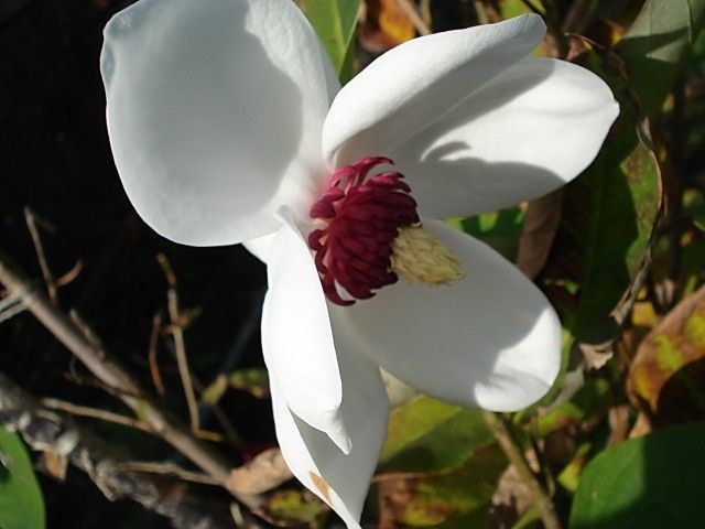 DSC01521