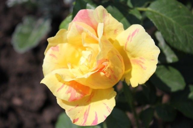 042