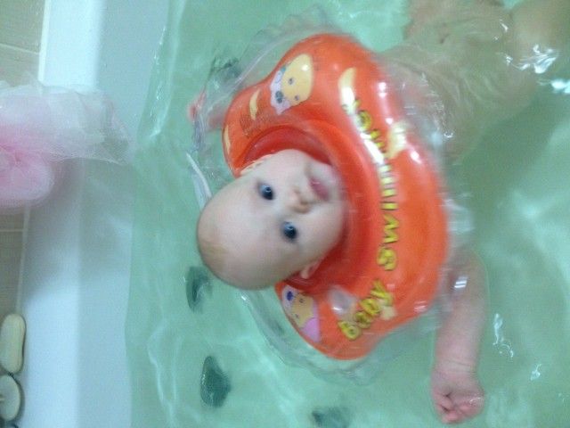 IMG 1663