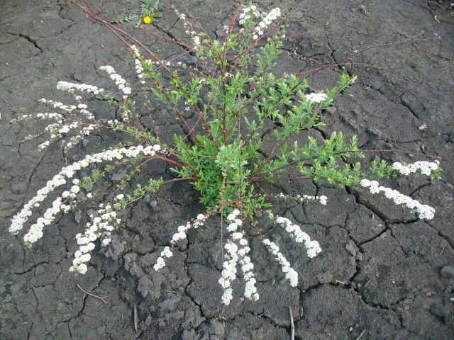 Изображение1 045