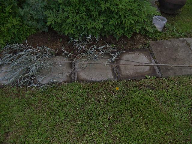 DSC01053