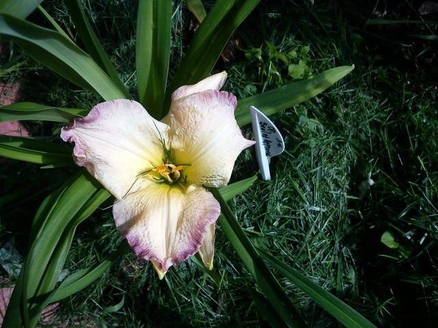 DSC00003