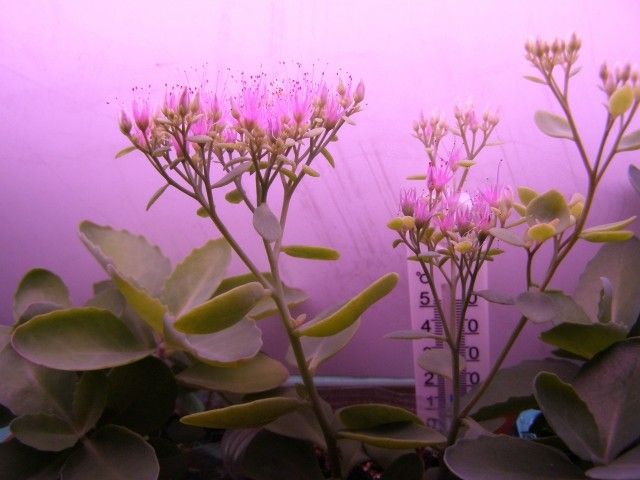 2012 02 08