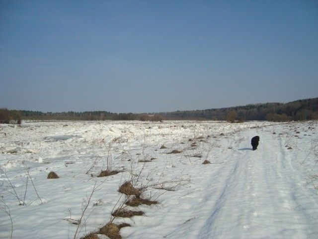 DSC06323