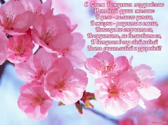 ktokogda  2