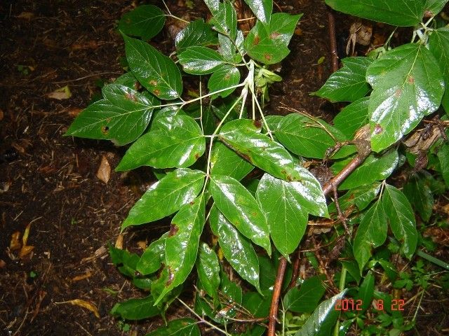 DSC04550
