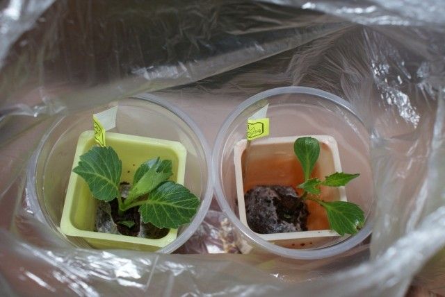 Изображение 026