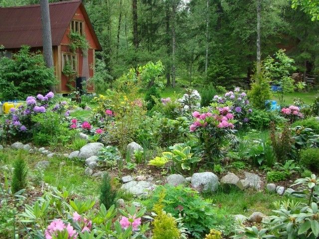 DSC02870