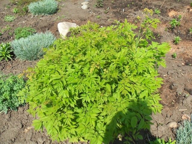 Изображение 065