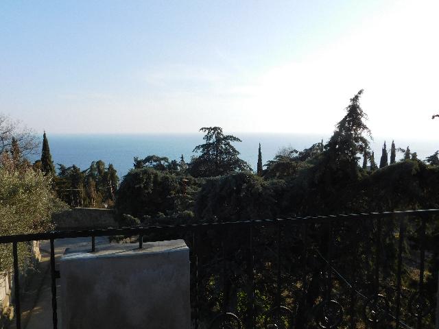 DSCN5087