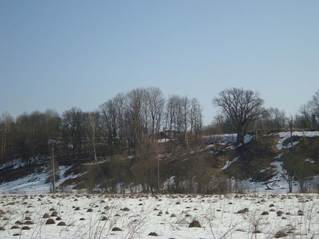 DSC06324