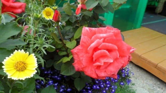Теплоход 003