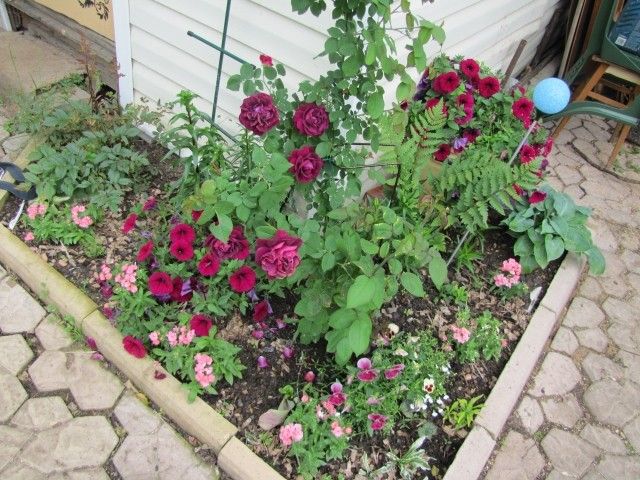 угол кухни 8