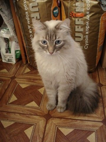 DSC01692