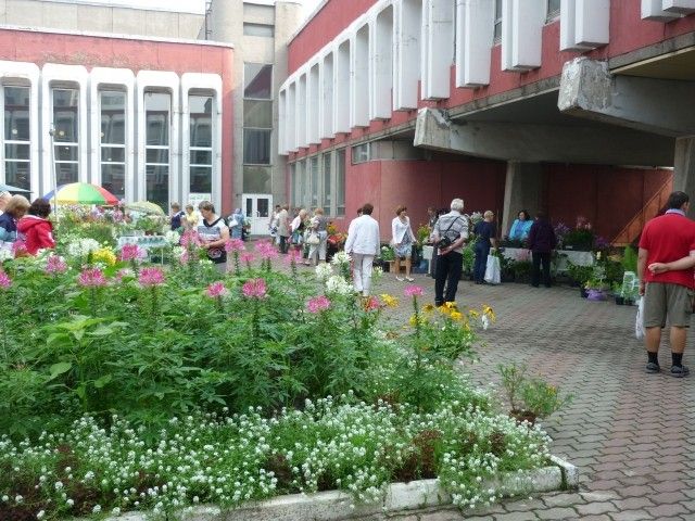 P1050043