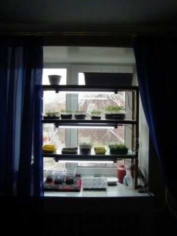 DSC04130