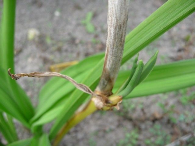 P1050408