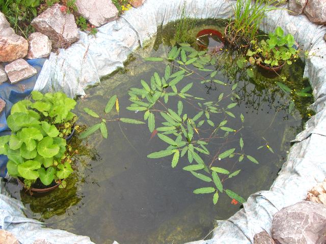 IMG 4560