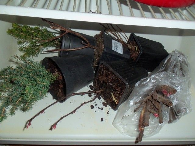 Изображение 005