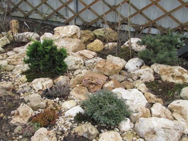 Хвойнятник 2 01 05 11