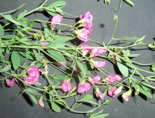 Изображение 139