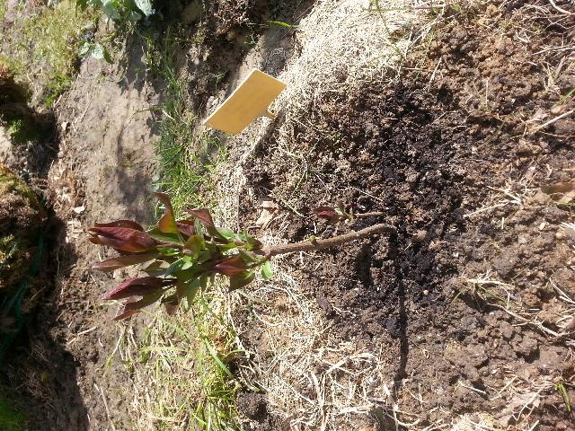 tmp 8505 20170512 134204 828923984