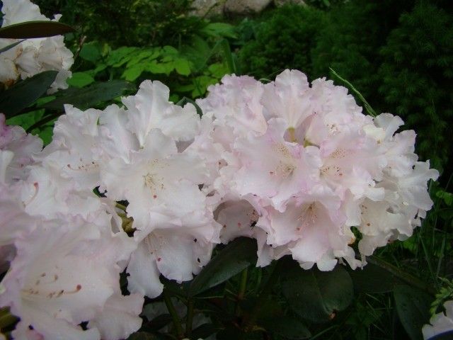 DSC02846