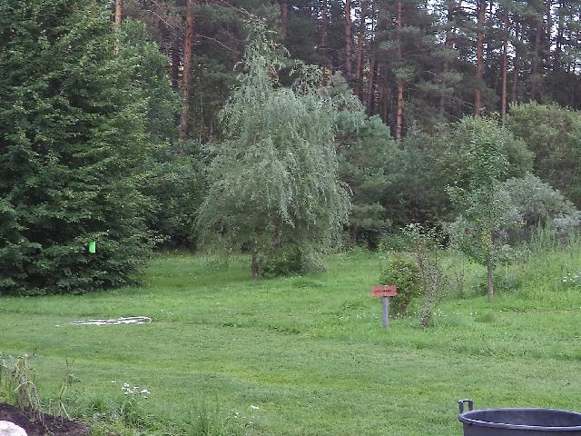 DSC00640