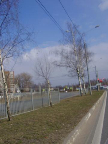 P5300015