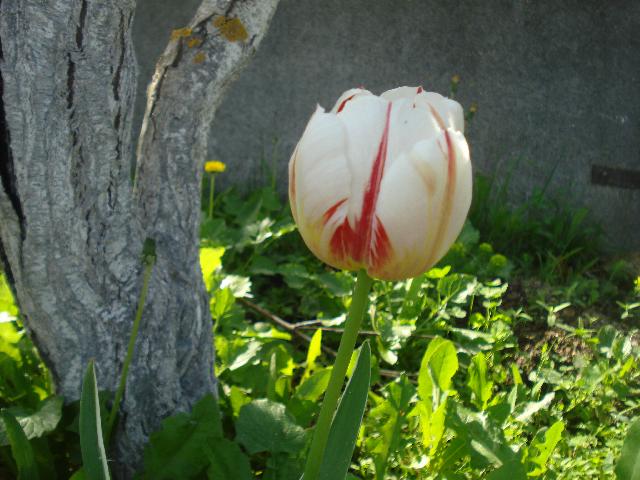 DSC00060