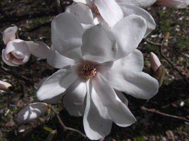 DSCF0383