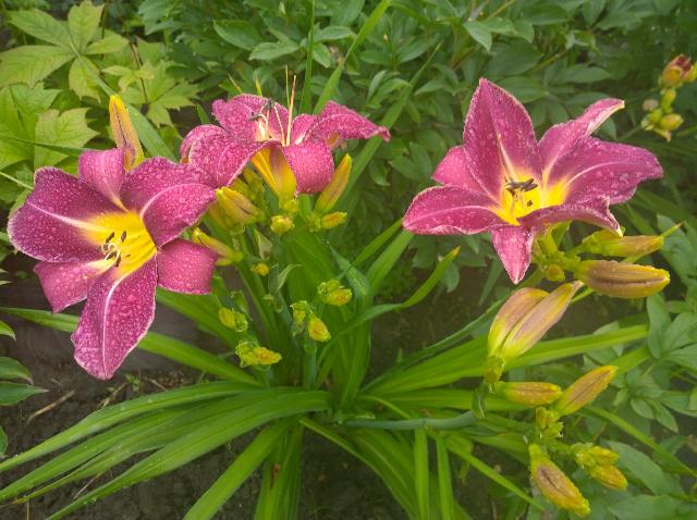 WP 20150720 18 45 00 Pro