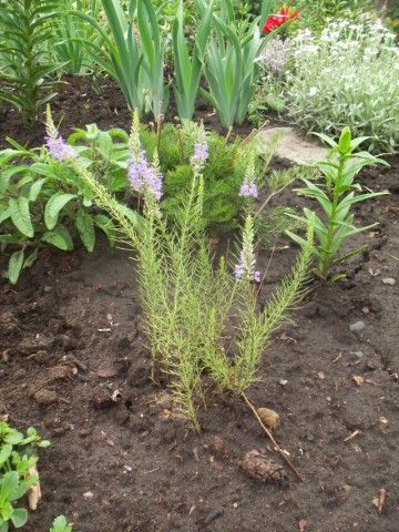 Изображение 059