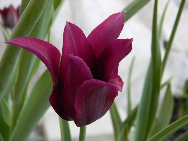 DSCN3718